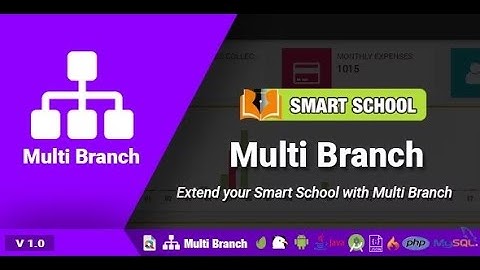 Smart School Multibranch addon