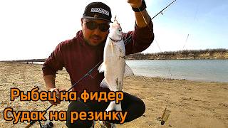 Весенняя рыбалка. Рыбец на фидер, судак на резинку