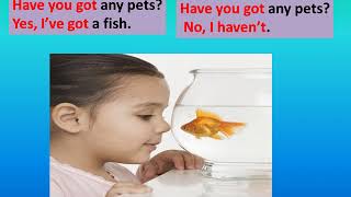 GESE   Grade 2   unit 7 pets   part1