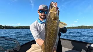 Hayward, Wi - Big Walleyes! (Live Scope Eats) 