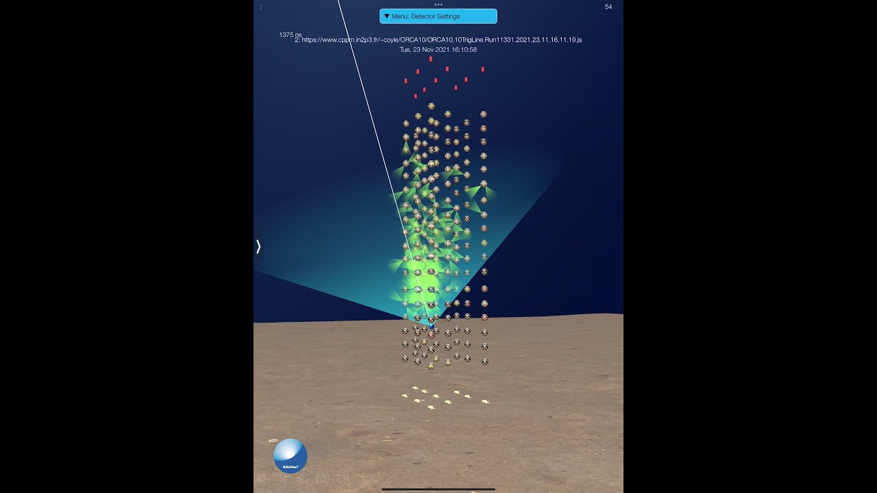 Down going muons in ORCA10