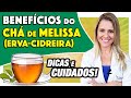 Benefícios do Chá de Melissa (Erva-Cidreira) - Para Que Serve? [EMAGRECE? ACALMA?]