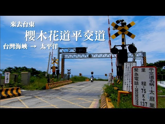 櫻木花道平交道 台灣海峽到太平洋 南迴公路 太麻里 Youtube