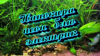 Нанокара неон блю электрик (Содержание)