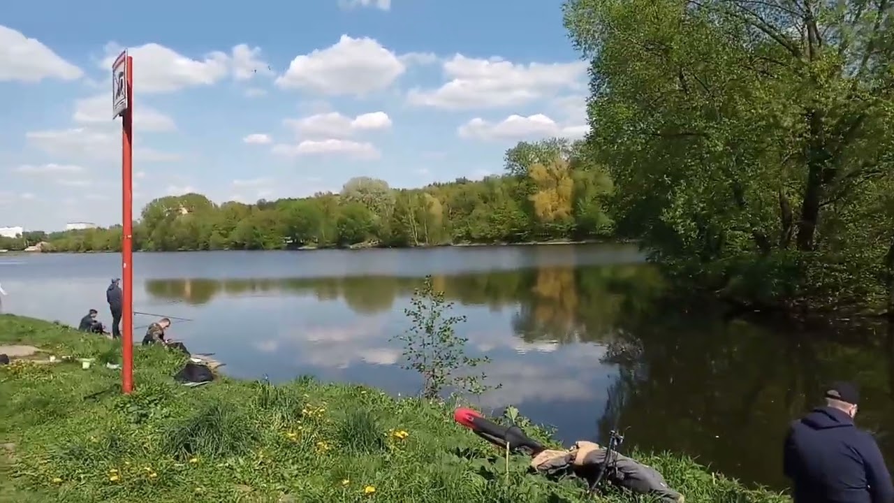 Тимирязевский лес