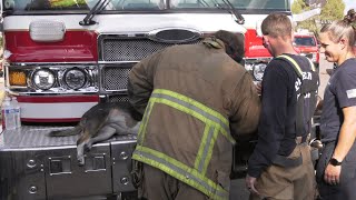 Firefighters Perform CPR On Dog Pulled From House Fire - September 14, 2022