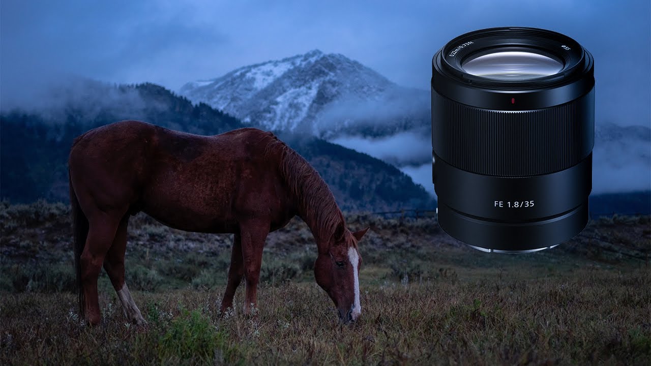 Camera Canada :: Sony :: 35mm f1.8 FE Lens