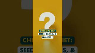 Chickens Diet- Seeds, Grains, and Legumes #shorts #chickenkeeping #chickencoop #homestead