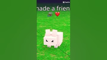 It is a good Capcut plus a pretty good loop video