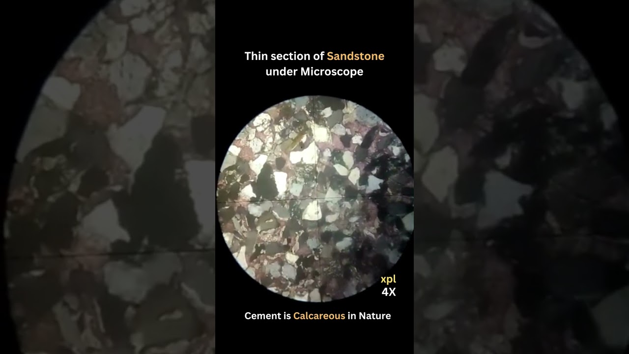 Известковый песчаник под микроскопом, тонкий срез осадочной породы 