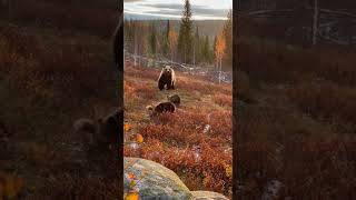 Такой Дружбы Никто Не Думал Не Гадал, Я В Шоке От Увиденного