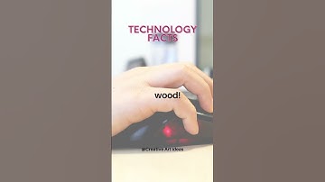 The first computer mouse was made of wood!
