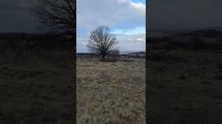 Cod galben de vânt la munte ⚠️🌬️🏔️ #vânt #munte #avertizare #meteo Cod galben de vânt la munte ⚠️🌬️🏔️ #vânt #munte #avertizare #meteo