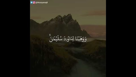 تلاوة هادئة وخاشعة من سورة ص للقارئ / ناصر القطامي