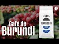 ☕ Todo sobre el Café de Burundi, un diamante en bruto en el corazón de África