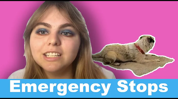 EMERGENCY STOPS- how to teach to your dog!