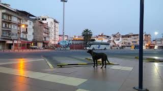 Varan Turizm Peron Karşılamanazilli Otogar