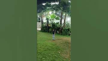 Mayu Shorts Video Cutebaby Papa 
