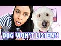 Get Your Puppy to Listen NO MATTER WHAT