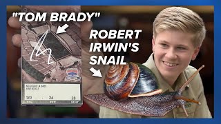 Tom Brady Autographs Ruin Memorabilia, $1.7M Toilet Party, Robert Irwin Gets A Snail | Weird News by News Refresh 343 views 3 weeks ago 4 minutes, 51 seconds