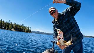 Why I Stopped Chasing Big Fish to Catch More