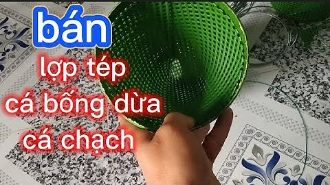 bán lợp tép, cá bống dừa, cá chạch, và lợp các loại (hết hàng)