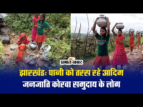 झारखंड: पानी को तरस रहे आदिम जनजाति कोरवा समुदाय के लोग