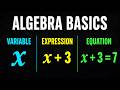 What Is Algebra? | Introduction to Algebra for Beginners | WhatsX Math?