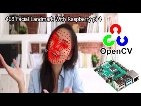 face landmarks detection|