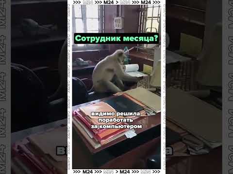 Похоже это новый сотрудник месяца