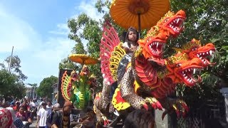 Download Lagu 120 DINA | BUROK TPJ MP3