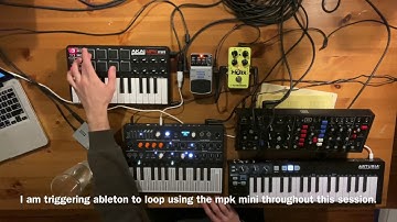 Live Looping with Ableton [Arturia Microfreak + Behringer Model D]