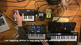 Live Looping with Ableton [Arturia Microfreak + Behringer Model D]