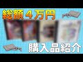 【総額４万円】「ここで逃したら二度と手に入らない」という強迫観念に負けて高額ソフトを購入したお話【秋葉原で衝動買い】