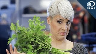 The 3 Oddest Food Mysteries Solved! The 3 Oddest Food Mysteries Solved!