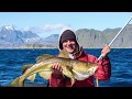 Our guest 2018 summary! Fishing in the Lofoten Islands!