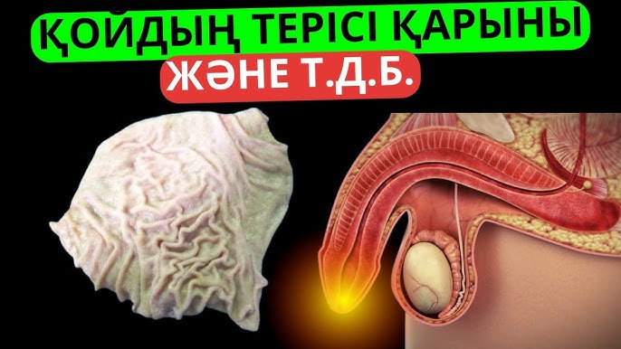 Ең семіз әйелдер субұрқақтың суы сияқты