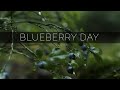 Blueberry Day