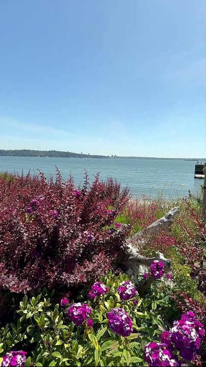A Glimpse of Nature Beauty #reivanaexploration #exploration #reivana