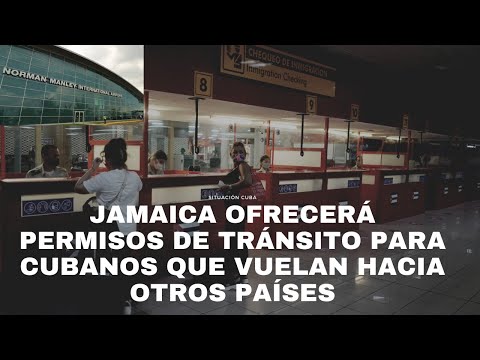 Video: ¿Qué pasa si no obtengo un permiso?