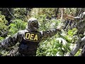 Tips on Becoming a DEA Agent