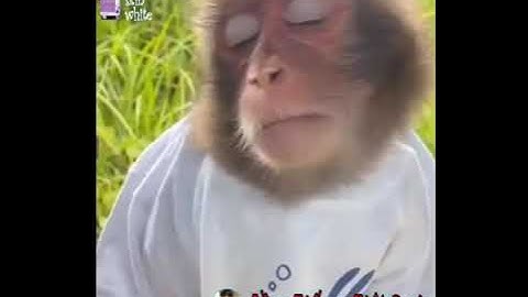 Thật là vải chưởng các bạn ạ - Kiệtpark