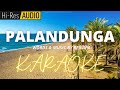 Palandunga-Rex Apa | Karaoke | Minus-One | Instrumental
