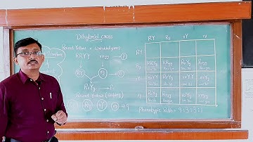 Dihybrid cross....Mendel