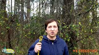 How to Retrieve Stuck Throwline from a Tree with Kevin Nesnow  TreeStuff Community Arborist Video