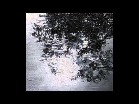 Silent Whale Becomes A Dream - As Walking On Canopy