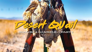 Chasing SCALED & GAMBELS QUAIL Across The Southwest Desert! by Uplander 9,777 views 4 months ago 31 minutes