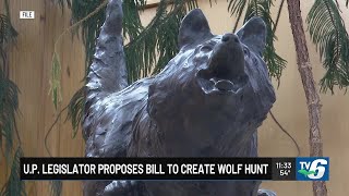 UP legislator proposes bill to lay framework for wolf hunting season