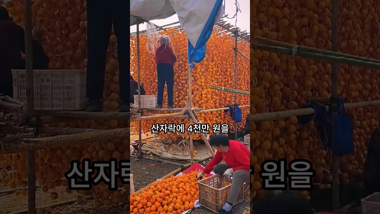 덕트모터에 폐기름 부어버린 마을주민