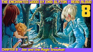 Enid Blyton - The Enchanted Wood Read Aloud - Chapter 8 - Flips: Faraway Tree Stories (DS)